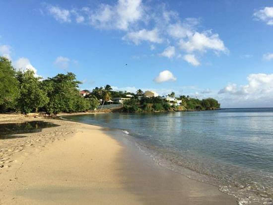 Nouveau Domaine De Mabouya Vue Mer Et Proximite Plage Sainte-Luce Εξωτερικό φωτογραφία